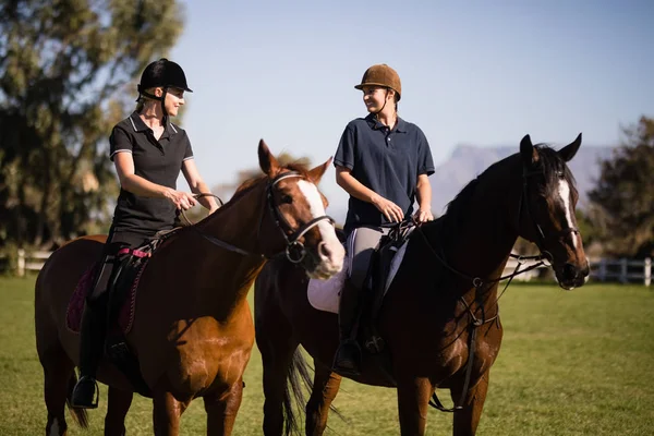 Amigos do sexo feminino falando em cavalos no celeiro — Fotografia de Stock