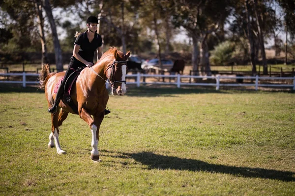 Žokej na koni v jezdecké centrum — Stock fotografie