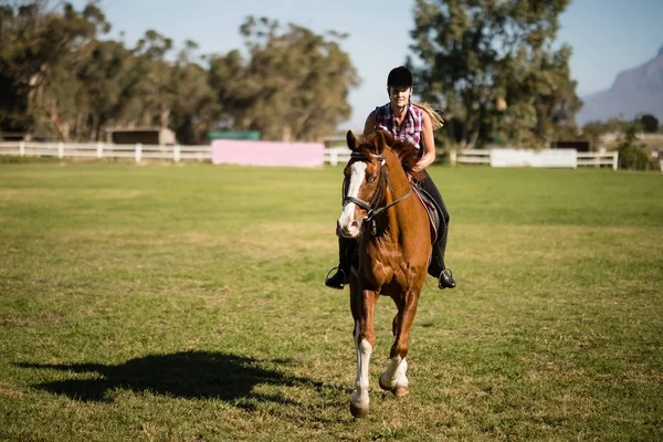 Jockey equitação no campo — Fotografia de Stock
