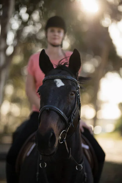 Jockey equitação cavalo — Fotografia de Stock