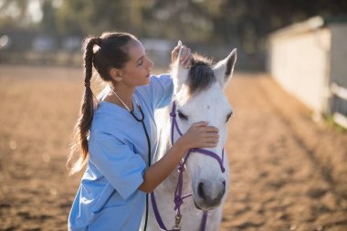 vet checking horse ears clipart