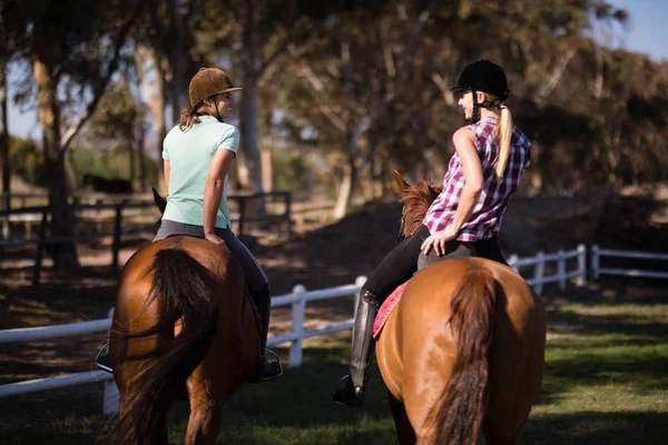 Feminino amigos cavalo equitação — Fotografia de Stock