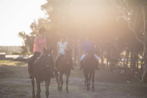 Treinador orientando as mulheres no cavalo de equitação — Fotografia de Stock