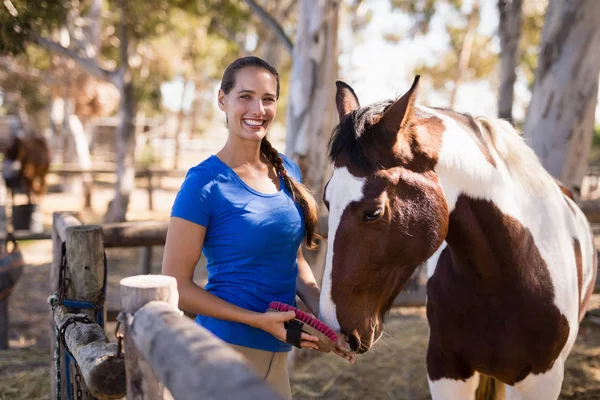 Čištění koně ženské žokej — Stock fotografie