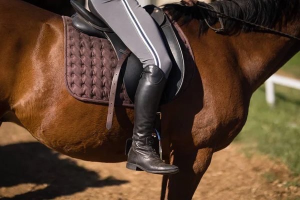 female jockey horseback riding