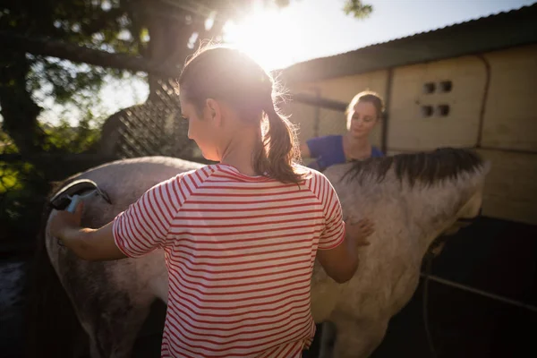 Amigos limpando cavalo no celeiro — Fotografia de Stock