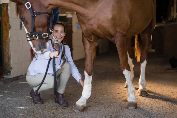 Veterinário examinando cavalo no estábulo — Fotografia de Stock