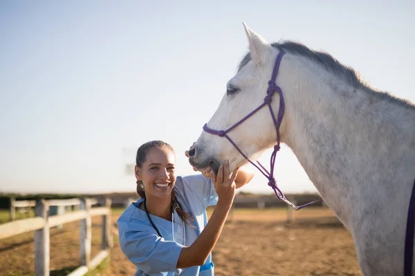 Hembra veterinaria eaxmining caballo en granero — Foto de Stock