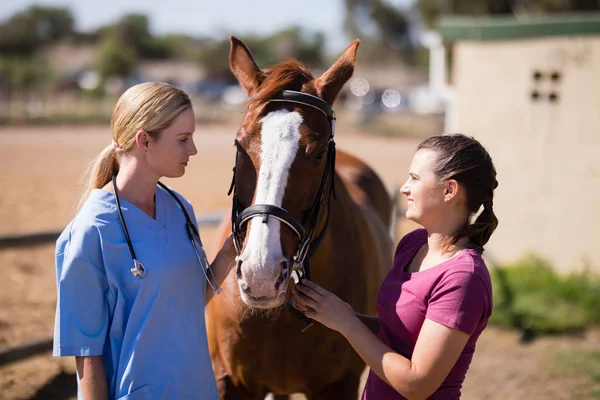 Veterinaria y mujer mirando a caballo — Foto de Stock