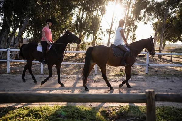 Feminino jockeys equitação cavalos — Fotografia de Stock