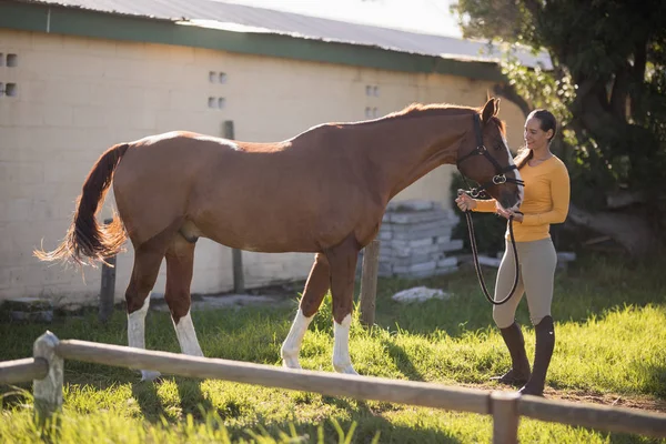 Jockey com cavalo de pé em campo — Fotografia de Stock