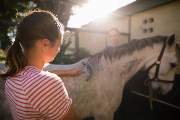 Friends cleaning horse at barn — Stock Photo, Image