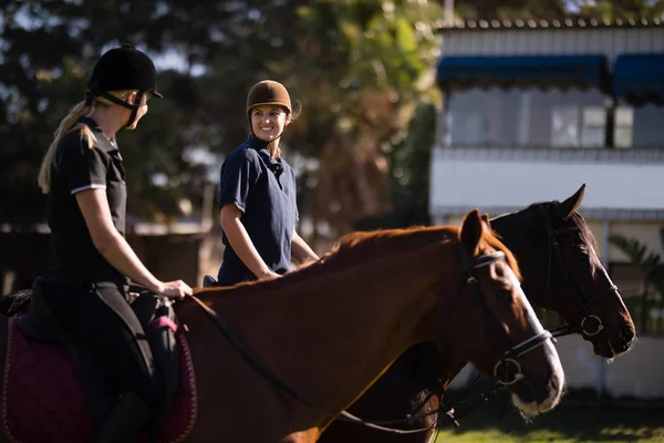 Amigos sentados em cavalos no celeiro — Fotografia de Stock