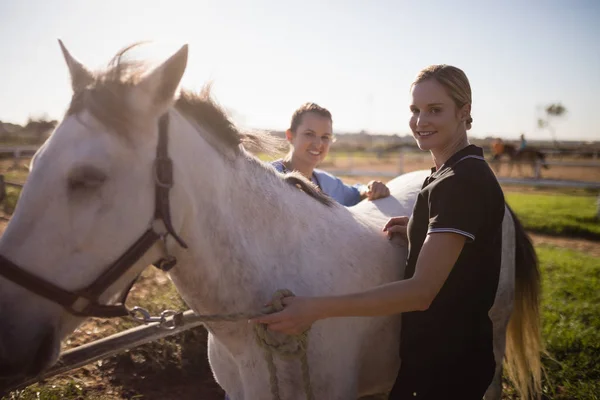 Jóquei e veterinário de pé com cavalo — Fotografia de Stock