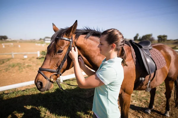 Femelle jockey bride de fixation — Photo