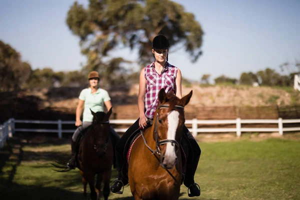 Ženy na koních na poli — Stock fotografie
