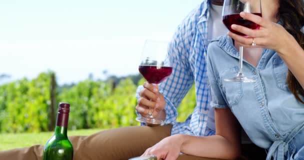 Casal tomando vinho na fazenda — Vídeo de Stock