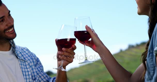 Casal brindar copos de vinho na fazenda — Vídeo de Stock