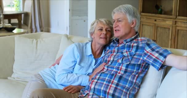 Senior couple sitting together on sofa — Stock Video