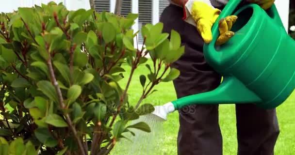 Senior man de planten water geven — Stockvideo