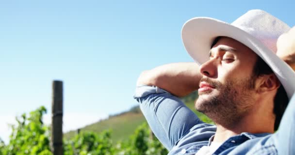 Homme agriculteur relaxant avec les mains derrière le dos dans un vignoble — Video