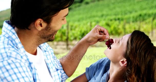 Homem alimentando uvas para mulher na fazenda — Vídeo de Stock