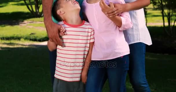 Family hugging each other in the park — Stock Video