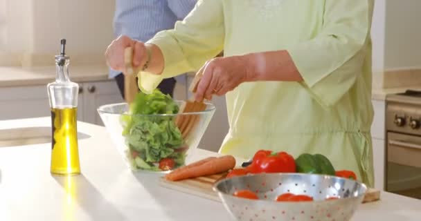 Seniorenpaar unterhält sich beim Mischen eines Salats — Stockvideo