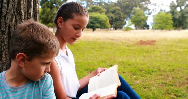 Kids reading books in park — Stock Video
