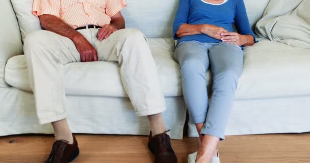 Seniorenpaar schläft auf Sofa im Wohnzimmer — Stockvideo