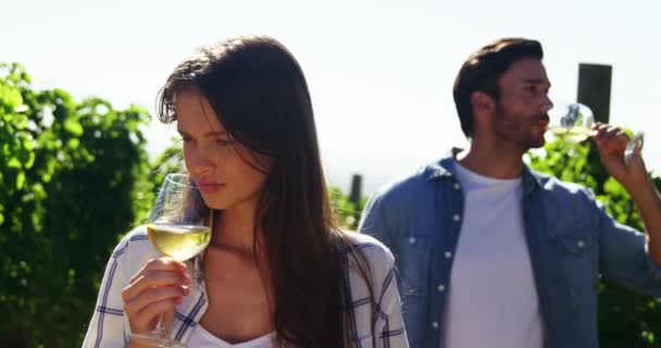 Pareja tomando vino en el viñedo — Vídeos de Stock