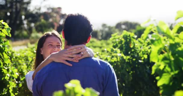 Pareja romántica enamorada en un viñedo — Vídeo de stock