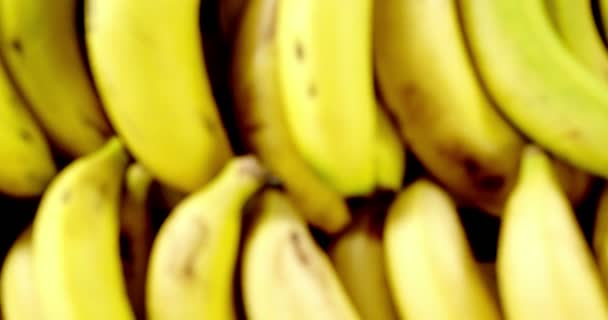 Fresh bananas arranged in wooden crate — Stock Video