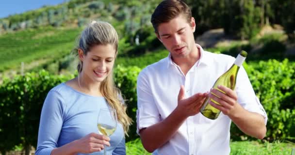 Pareja interactuando mientras examina el vino en el viñedo — Vídeo de stock