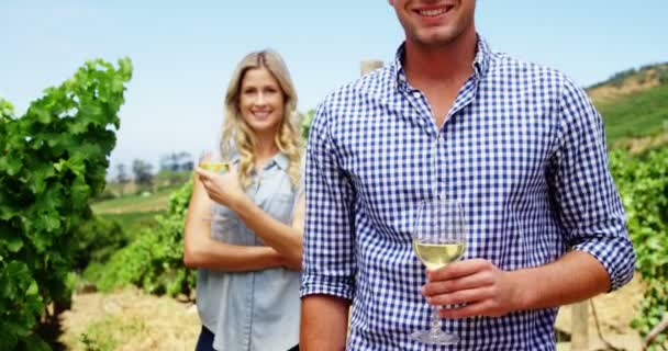 Portrait de couple heureux debout avec des verres à vin — Video