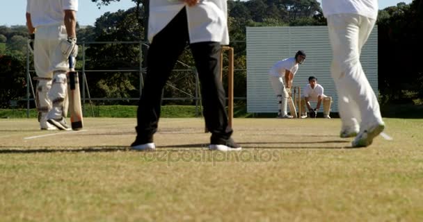 Bowler leveren bal tijdens cricket match — Stockvideo