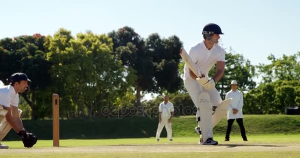 Guardián de Wicket tomando una captura durante el partido de cricket — Vídeo de stock