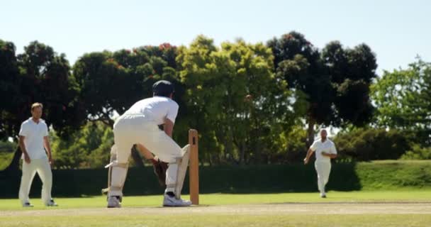 Fielder lanciando palla al wicket keeper durante la partita di cricket — Video Stock