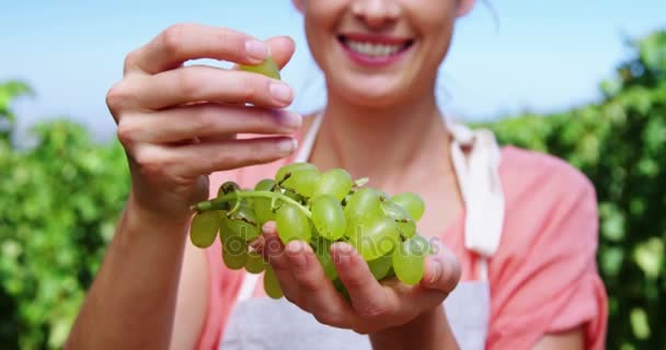 Ritratto di donna felice che mangia uva in vigna — Video Stock