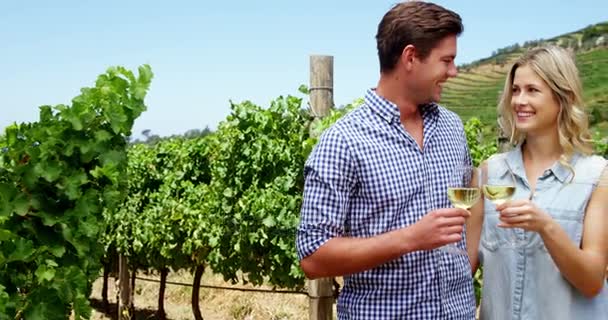 Šťastný pár opékání sklenic vína na vinici — Stock video