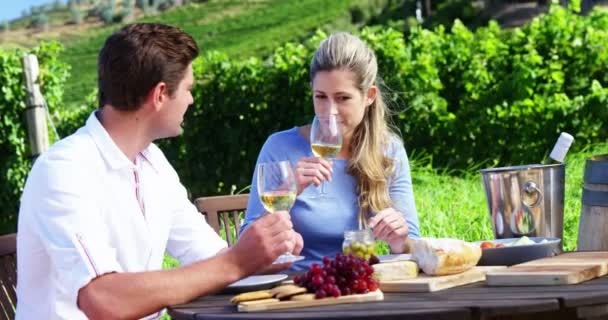 Счастливая пара пьет вино в винограднике — стоковое видео