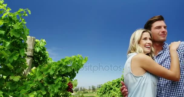 Couple prenant selfie sur téléphone portable au vignoble — Video