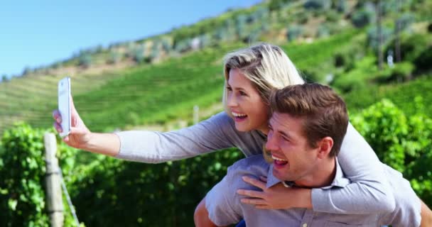 Joyeux couple prenant selfie sur téléphone portable dans le vignoble — Video