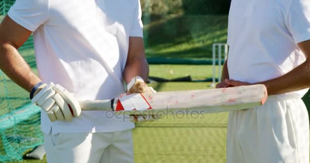 Cricket-Spieler interagieren während einer Trainingseinheit in den Netzen miteinander — Stockvideo