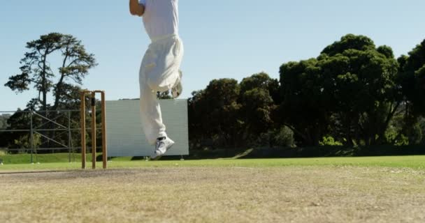 Боулер доставляет мяч и апеллирует во время матча по крикету — стоковое видео