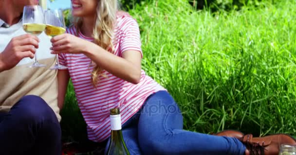 Casal feliz tendo vinho na vinha — Vídeo de Stock