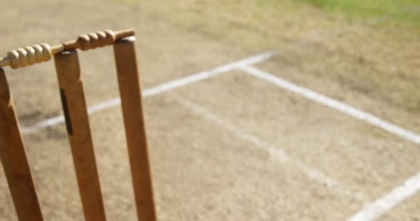 Bowler entregando bola durante o jogo de críquete — Vídeo de Stock