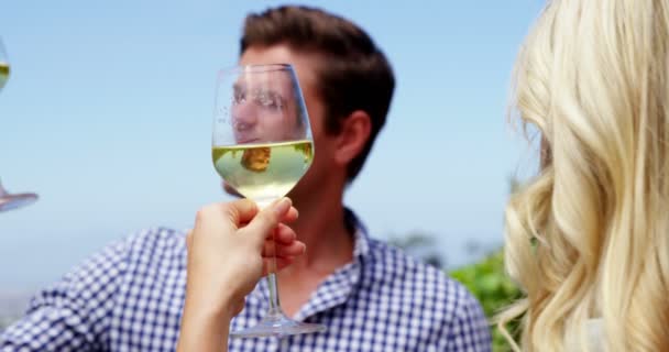 Pareja bebiendo vino en viñedo — Vídeos de Stock