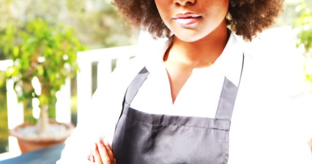 Portrait of smiling waitress standing with arm crossed — Stock Video