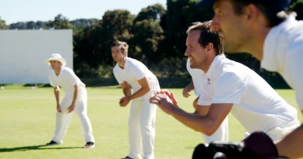 Cricket spelers doen vangen praktijk — Stockvideo